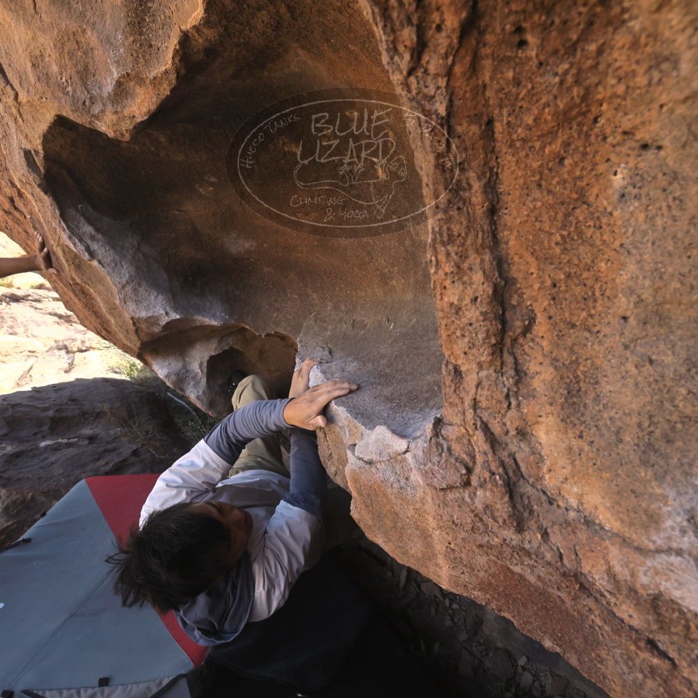 

Filename: SRM_20260328_1016350.jpg
Aperture: f/8.0
Shutter Speed: 1/1000
Body: Canon EOS R6
Lens: Canon EF 16-35mm f/2.8 L