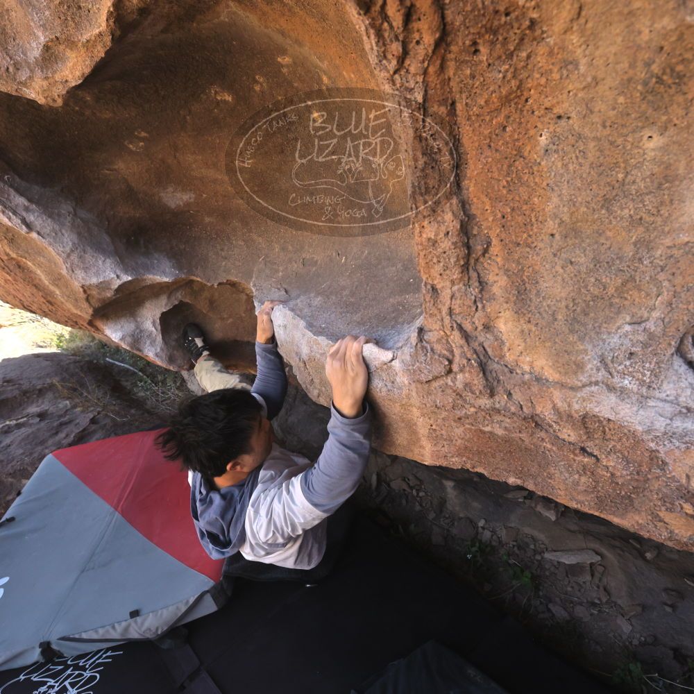 

Filename: SRM_20260328_1016370.jpg
Aperture: f/8.0
Shutter Speed: 1/1000
Body: Canon EOS R6
Lens: Canon EF 16-35mm f/2.8 L