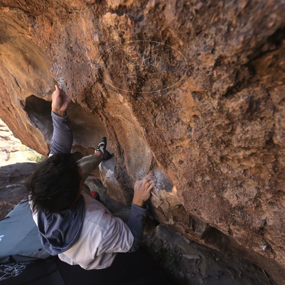 

Filename: SRM_20260328_1016520.jpg
Aperture: f/8.0
Shutter Speed: 1/1000
Body: Canon EOS R6
Lens: Canon EF 16-35mm f/2.8 L