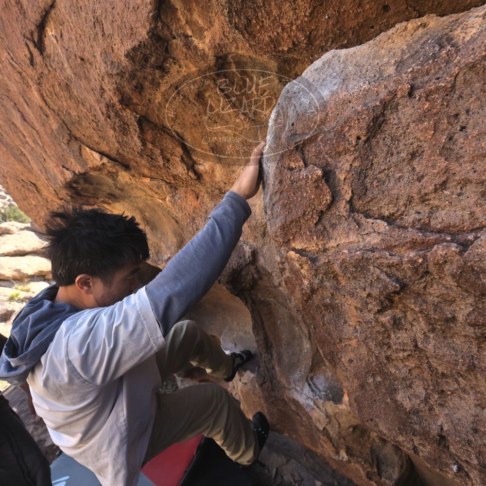 

Filename: SRM_20260328_1016580.jpg
Aperture: f/8.0
Shutter Speed: 1/1000
Body: Canon EOS R6
Lens: Canon EF 16-35mm f/2.8 L