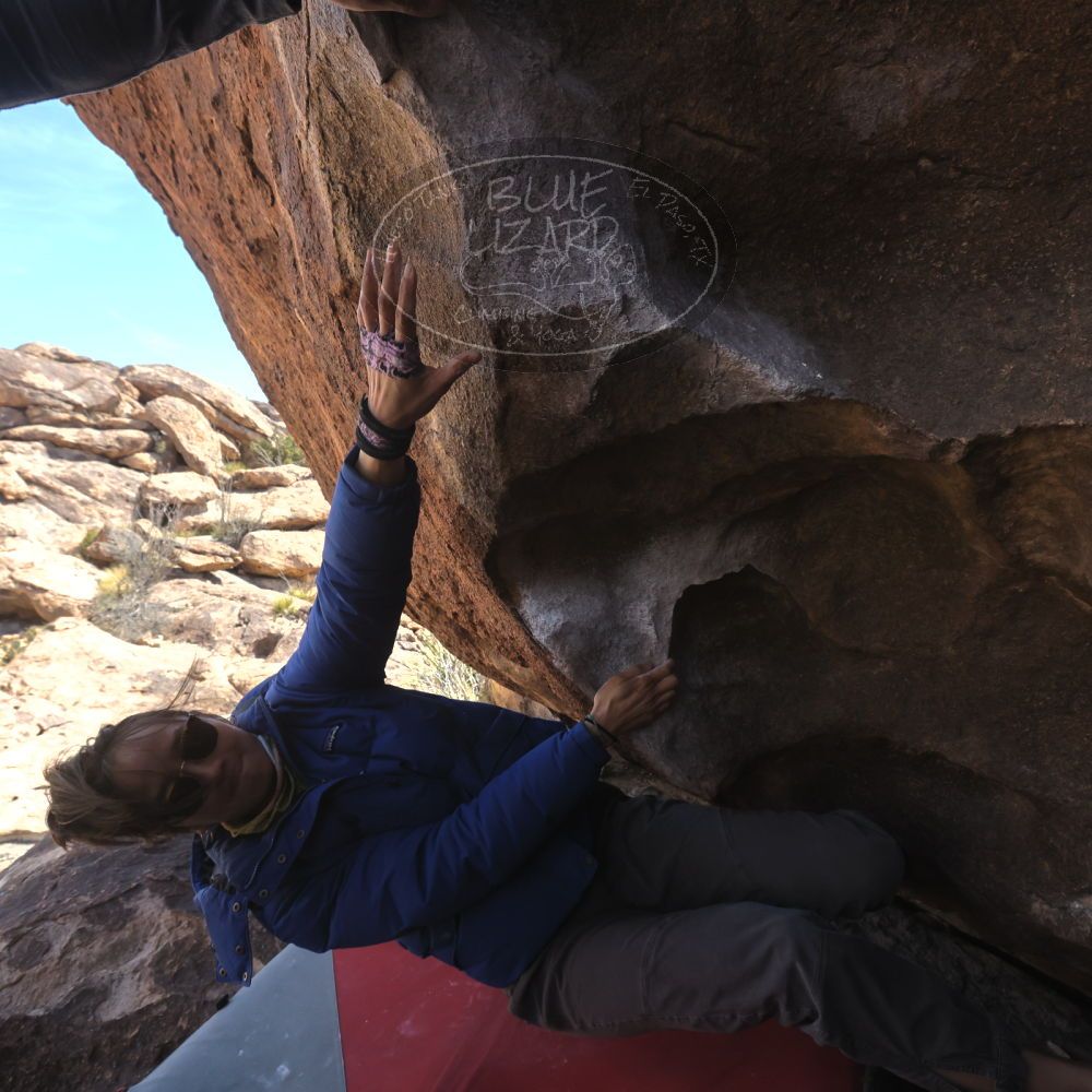 

Filename: SRM_20260328_1019510.jpg
Aperture: f/8.0
Shutter Speed: 1/1000
Body: Canon EOS R6
Lens: Canon EF 16-35mm f/2.8 L