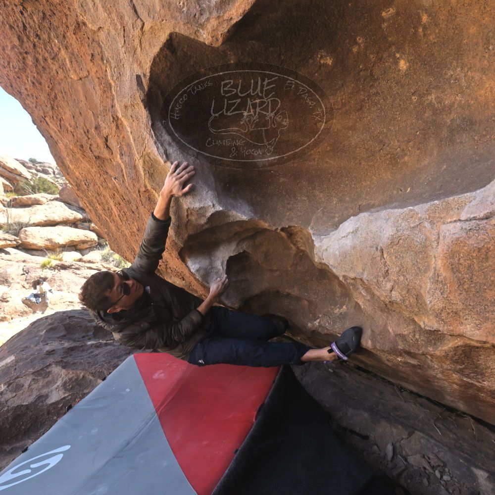 

Filename: SRM_20260328_1022300.jpg
Aperture: f/8.0
Shutter Speed: 1/1000
Body: Canon EOS R6
Lens: Canon EF 16-35mm f/2.8 L