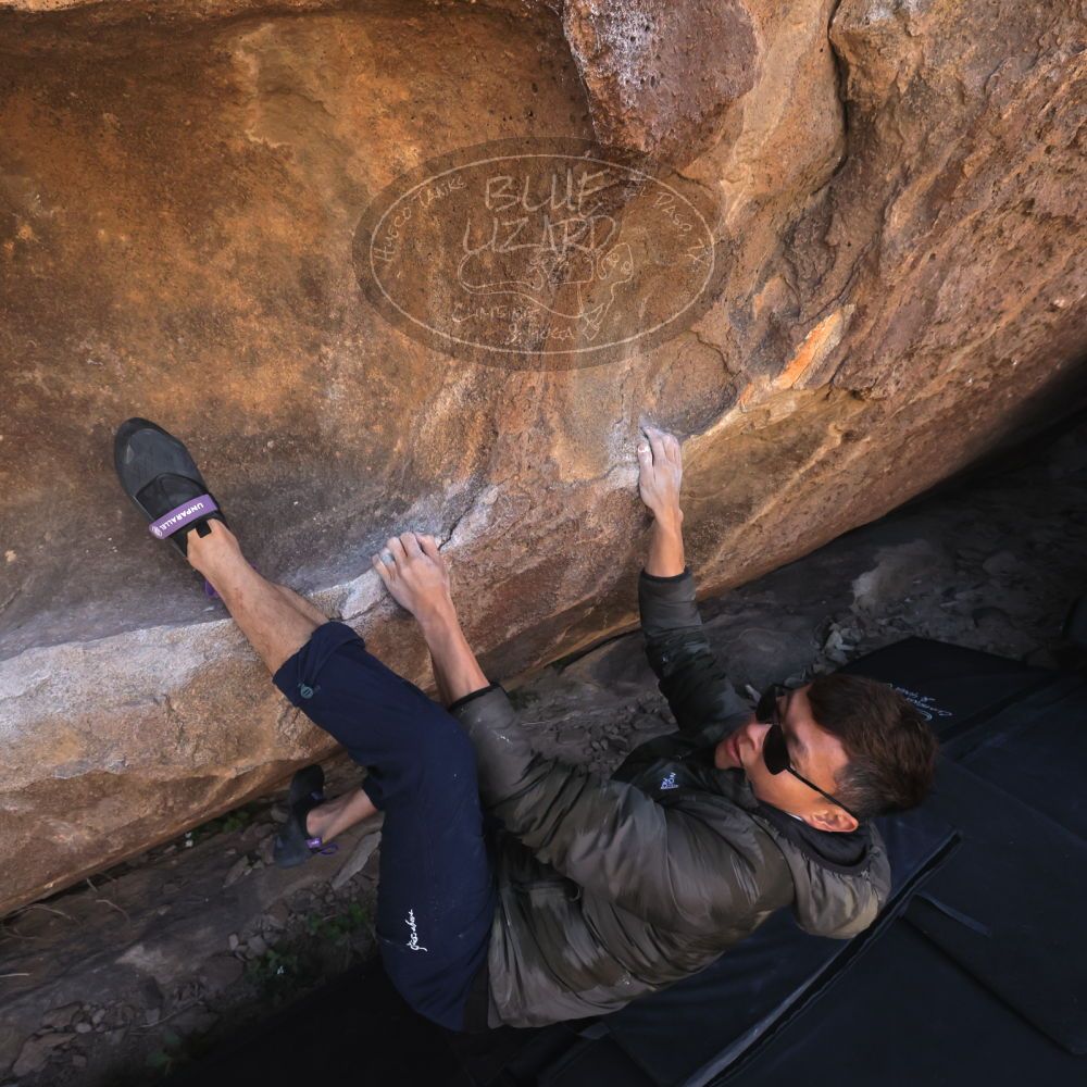 

Filename: SRM_20260328_1022470.jpg
Aperture: f/8.0
Shutter Speed: 1/1000
Body: Canon EOS R6
Lens: Canon EF 16-35mm f/2.8 L