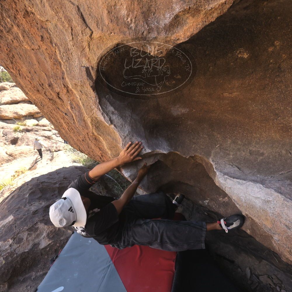 

Filename: SRM_20260328_1024230.jpg
Aperture: f/8.0
Shutter Speed: 1/1000
Body: Canon EOS R6
Lens: Canon EF 16-35mm f/2.8 L