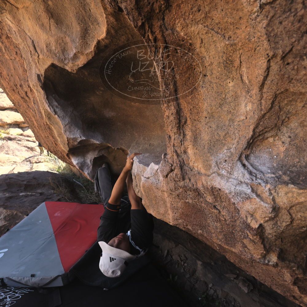 

Filename: SRM_20260328_1024330.jpg
Aperture: f/8.0
Shutter Speed: 1/1000
Body: Canon EOS R6
Lens: Canon EF 16-35mm f/2.8 L