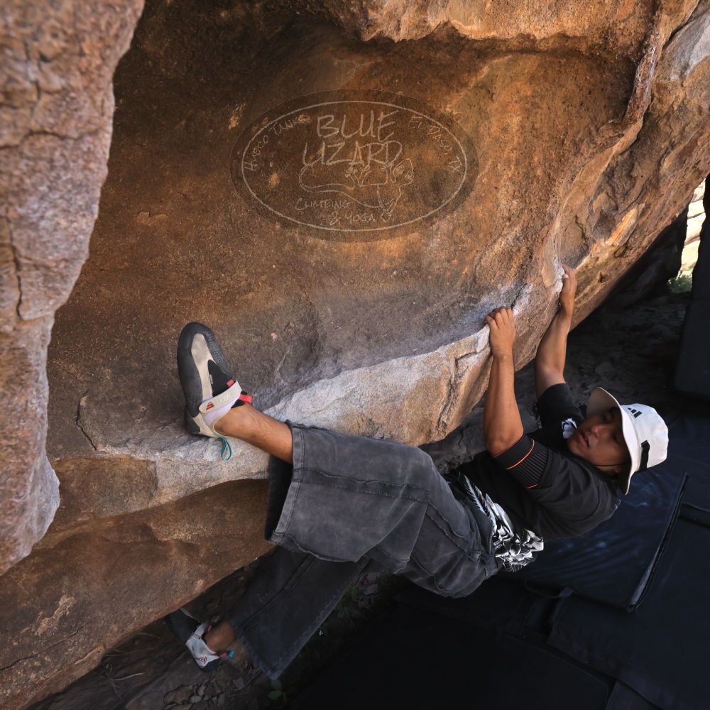 

Filename: SRM_20260328_1024420.jpg
Aperture: f/8.0
Shutter Speed: 1/1000
Body: Canon EOS R6
Lens: Canon EF 16-35mm f/2.8 L