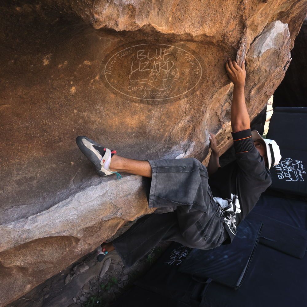 

Filename: SRM_20260328_1024470.jpg
Aperture: f/8.0
Shutter Speed: 1/1000
Body: Canon EOS R6
Lens: Canon EF 16-35mm f/2.8 L