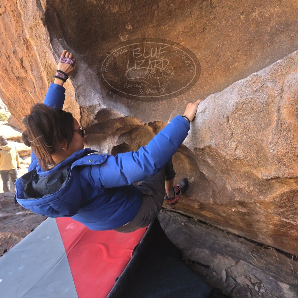 

Filename: SRM_20260328_1029270.jpg
Aperture: f/8.0
Shutter Speed: 1/1000
Body: Canon EOS R6
Lens: Canon EF 16-35mm f/2.8 L