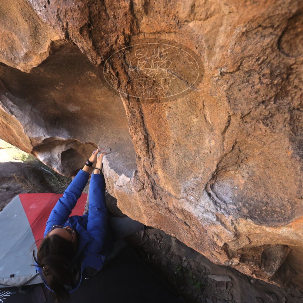 

Filename: SRM_20260328_1029380.jpg
Aperture: f/8.0
Shutter Speed: 1/1000
Body: Canon EOS R6
Lens: Canon EF 16-35mm f/2.8 L