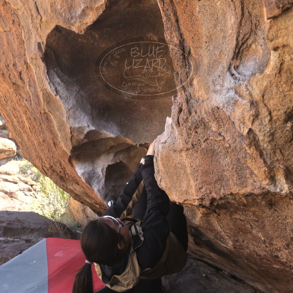 

Filename: SRM_20260328_1039000.jpg
Aperture: f/8.0
Shutter Speed: 1/1000
Body: Canon EOS R6
Lens: Canon EF 16-35mm f/2.8 L