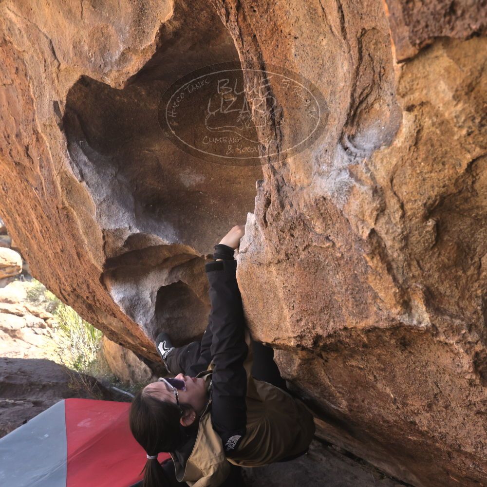 

Filename: SRM_20260328_1039010.jpg
Aperture: f/8.0
Shutter Speed: 1/1000
Body: Canon EOS R6
Lens: Canon EF 16-35mm f/2.8 L