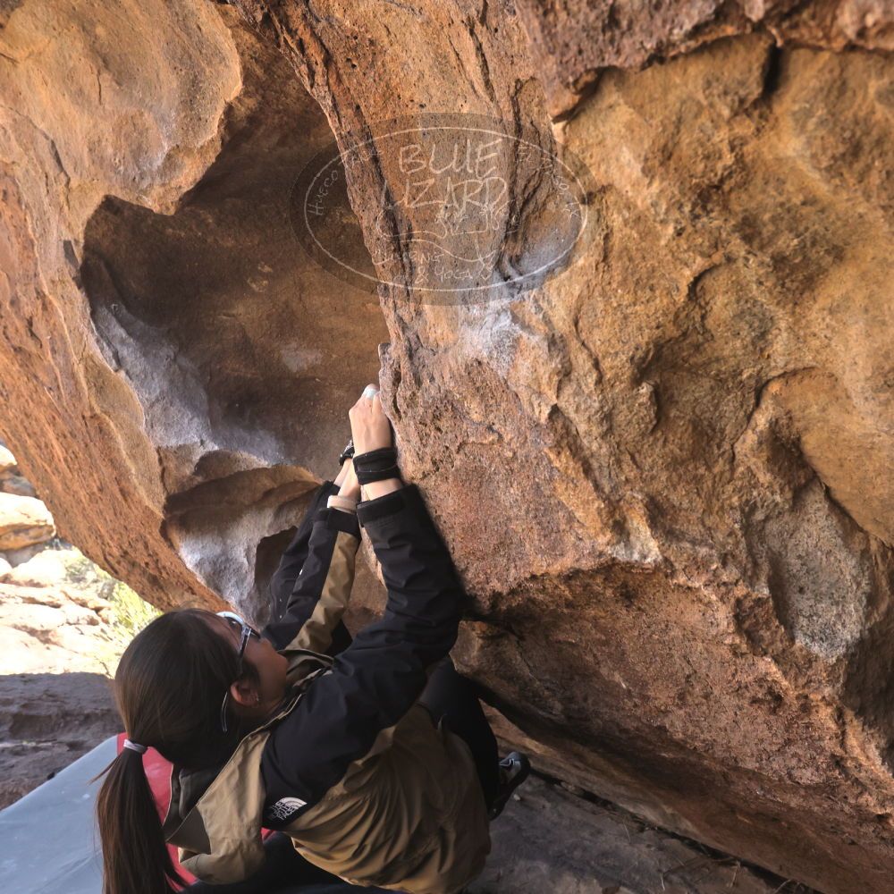 

Filename: SRM_20260328_1039040.jpg
Aperture: f/8.0
Shutter Speed: 1/1000
Body: Canon EOS R6
Lens: Canon EF 16-35mm f/2.8 L