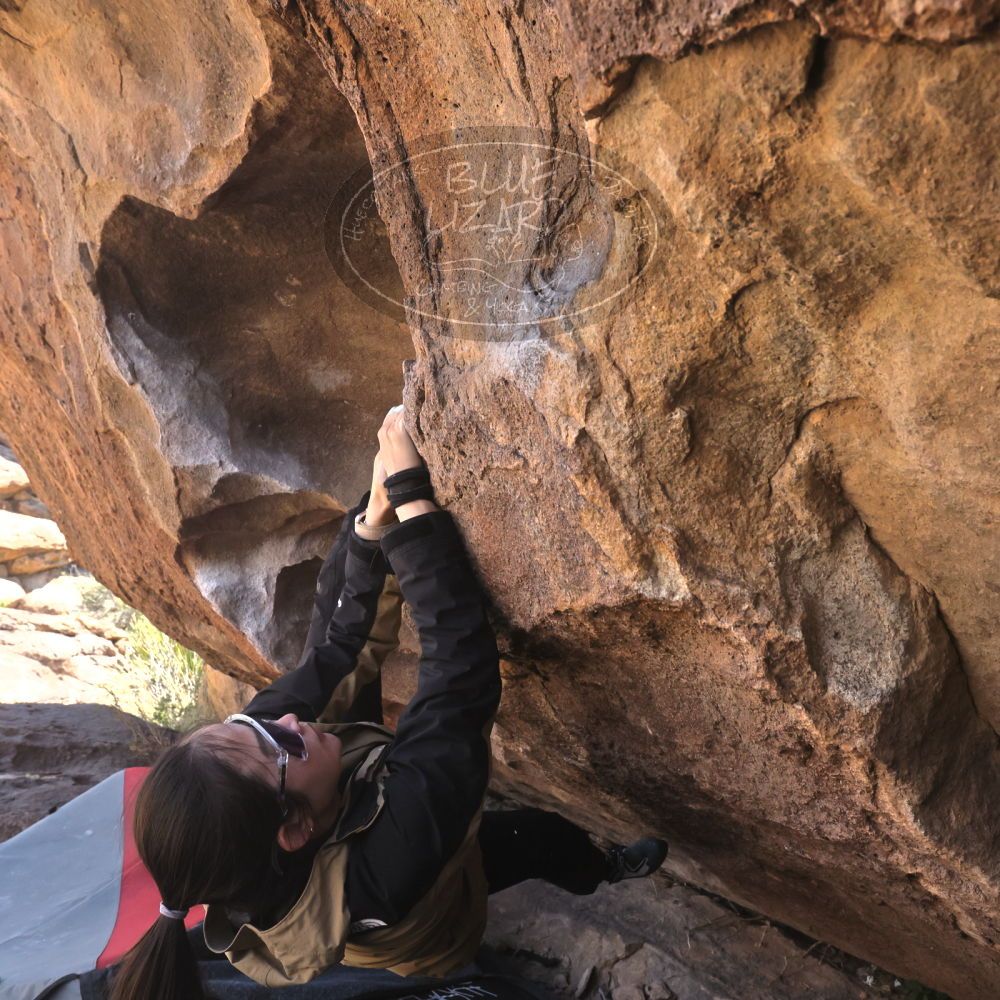 

Filename: SRM_20260328_1039070.jpg
Aperture: f/8.0
Shutter Speed: 1/1000
Body: Canon EOS R6
Lens: Canon EF 16-35mm f/2.8 L