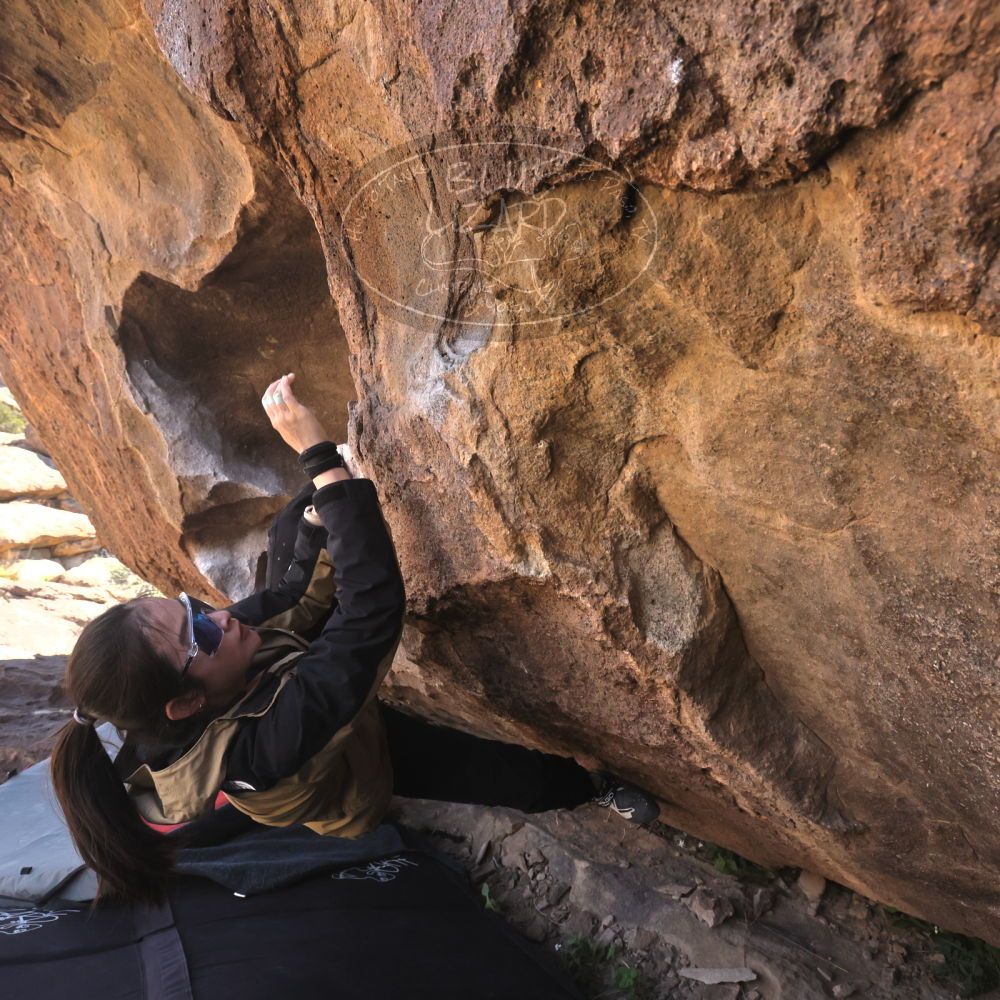 

Filename: SRM_20260328_1039100.jpg
Aperture: f/8.0
Shutter Speed: 1/1000
Body: Canon EOS R6
Lens: Canon EF 16-35mm f/2.8 L