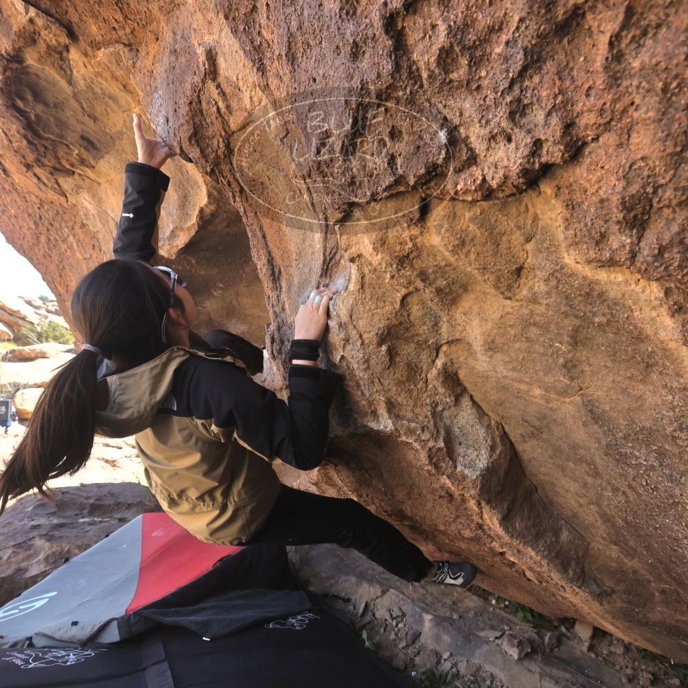 

Filename: SRM_20260328_1039140.jpg
Aperture: f/8.0
Shutter Speed: 1/1000
Body: Canon EOS R6
Lens: Canon EF 16-35mm f/2.8 L