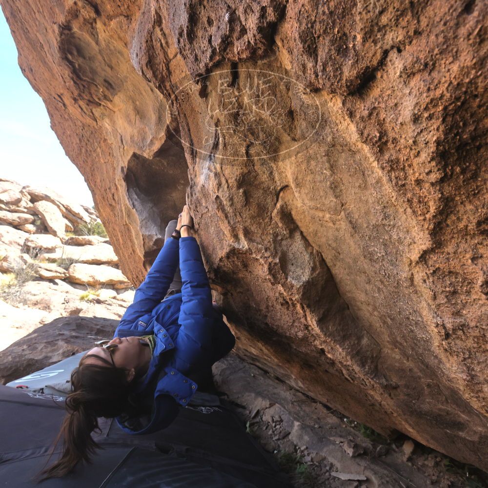 

Filename: SRM_20260328_1043420.jpg
Aperture: f/8.0
Shutter Speed: 1/1000
Body: Canon EOS R6
Lens: Canon EF 16-35mm f/2.8 L