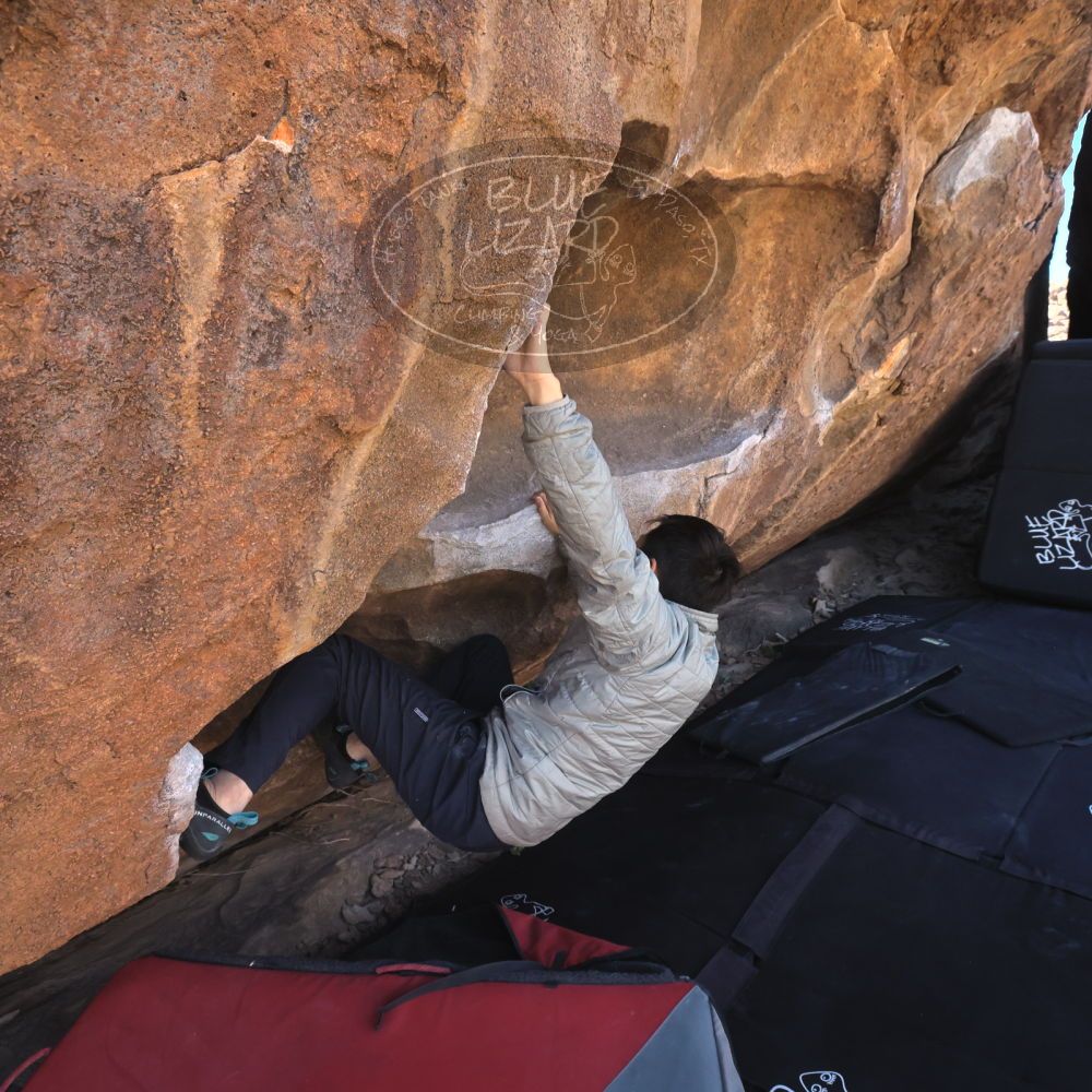 

Filename: SRM_20260328_1047120.jpg
Aperture: f/8.0
Shutter Speed: 1/1000
Body: Canon EOS R6
Lens: Canon EF 16-35mm f/2.8 L