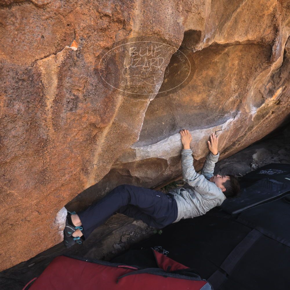 

Filename: SRM_20260328_1047160.jpg
Aperture: f/8.0
Shutter Speed: 1/1000
Body: Canon EOS R6
Lens: Canon EF 16-35mm f/2.8 L