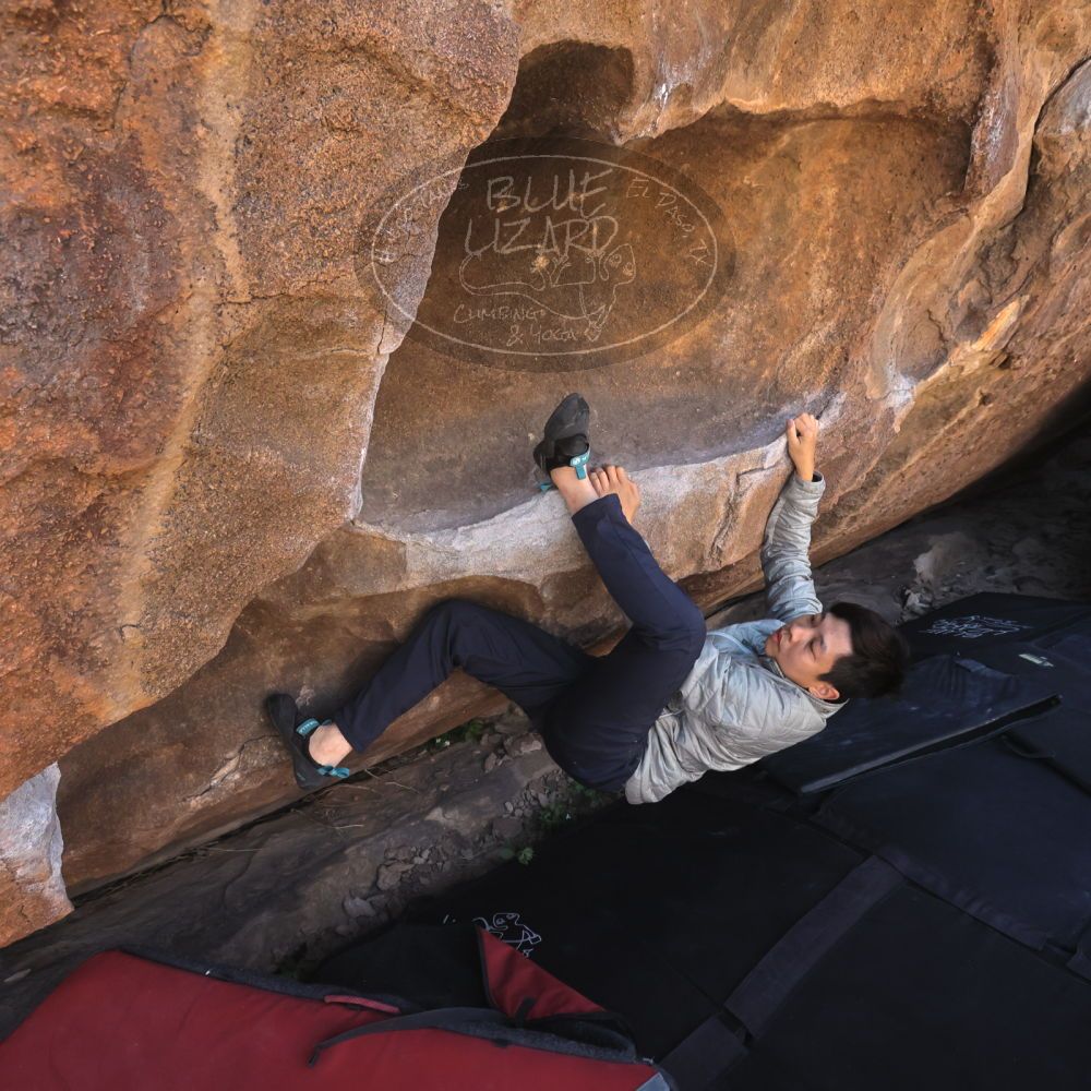 

Filename: SRM_20260328_1047190.jpg
Aperture: f/8.0
Shutter Speed: 1/1000
Body: Canon EOS R6
Lens: Canon EF 16-35mm f/2.8 L