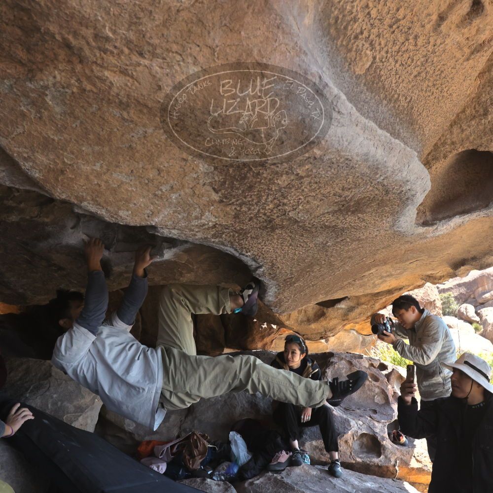 

Filename: SRM_20260328_1119570.jpg
Aperture: f/8.0
Shutter Speed: 1/1000
Body: Canon EOS R6
Lens: Canon EF 16-35mm f/2.8 L