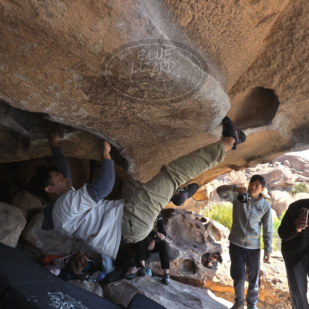 

Filename: SRM_20260328_1120020.jpg
Aperture: f/8.0
Shutter Speed: 1/1000
Body: Canon EOS R6
Lens: Canon EF 16-35mm f/2.8 L