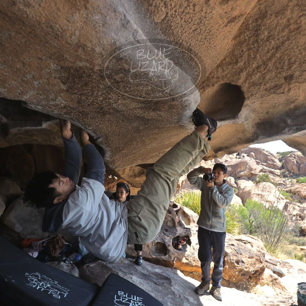 

Filename: SRM_20260328_1120040.jpg
Aperture: f/8.0
Shutter Speed: 1/1000
Body: Canon EOS R6
Lens: Canon EF 16-35mm f/2.8 L