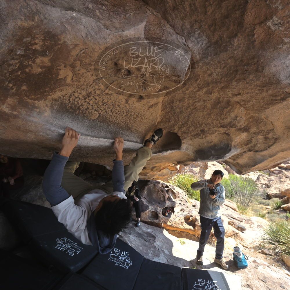 

Filename: SRM_20260328_1120100.jpg
Aperture: f/8.0
Shutter Speed: 1/1000
Body: Canon EOS R6
Lens: Canon EF 16-35mm f/2.8 L