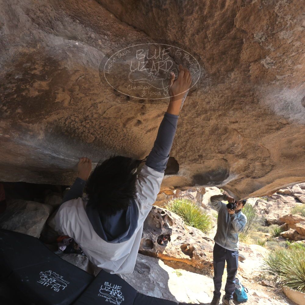 

Filename: SRM_20260328_1120170.jpg
Aperture: f/8.0
Shutter Speed: 1/1000
Body: Canon EOS R6
Lens: Canon EF 16-35mm f/2.8 L