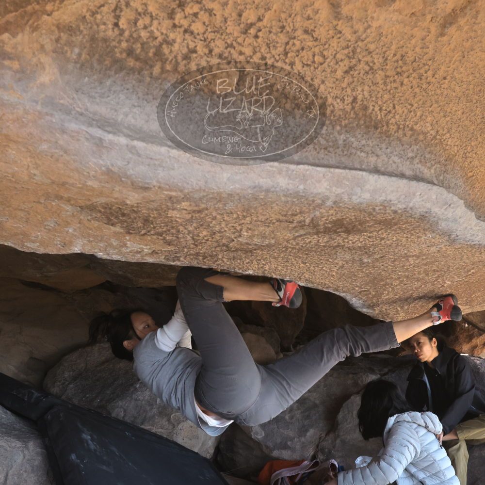 

Filename: SRM_20260328_1128050.jpg
Aperture: f/8.0
Shutter Speed: 1/1000
Body: Canon EOS R6
Lens: Canon EF 16-35mm f/2.8 L