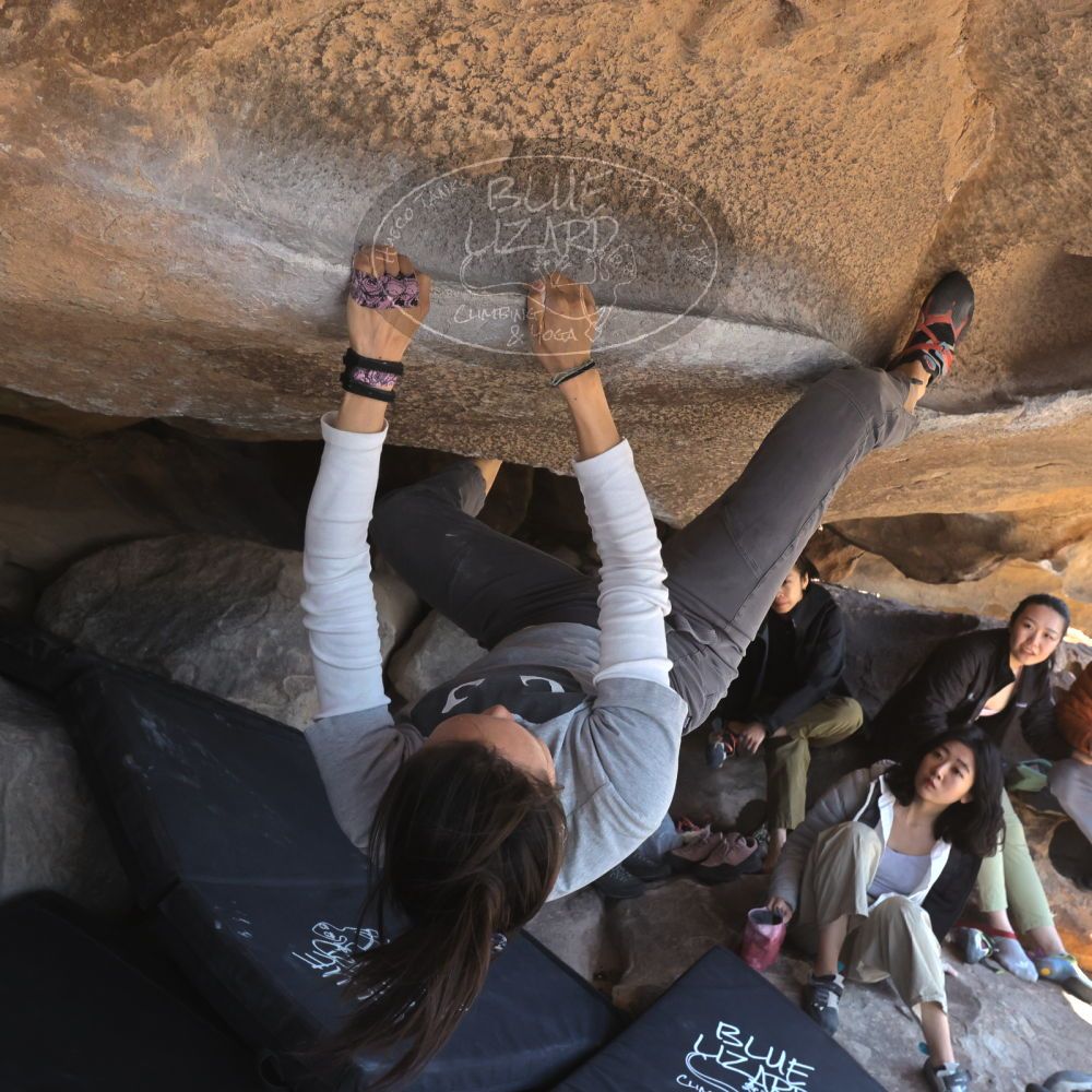 

Filename: SRM_20260328_1128350.jpg
Aperture: f/8.0
Shutter Speed: 1/1000
Body: Canon EOS R6
Lens: Canon EF 16-35mm f/2.8 L