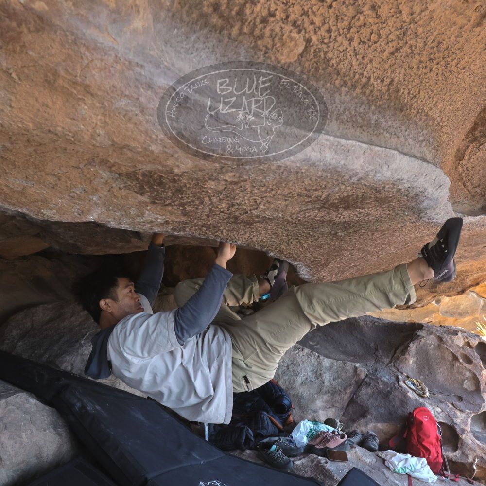 

Filename: SRM_20260328_1205020.jpg
Aperture: f/8.0
Shutter Speed: 1/1000
Body: Canon EOS R6
Lens: Canon EF 16-35mm f/2.8 L