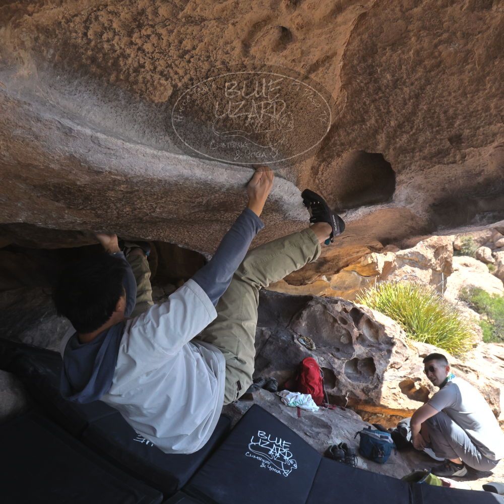 

Filename: SRM_20260328_1205060.jpg
Aperture: f/8.0
Shutter Speed: 1/1000
Body: Canon EOS R6
Lens: Canon EF 16-35mm f/2.8 L