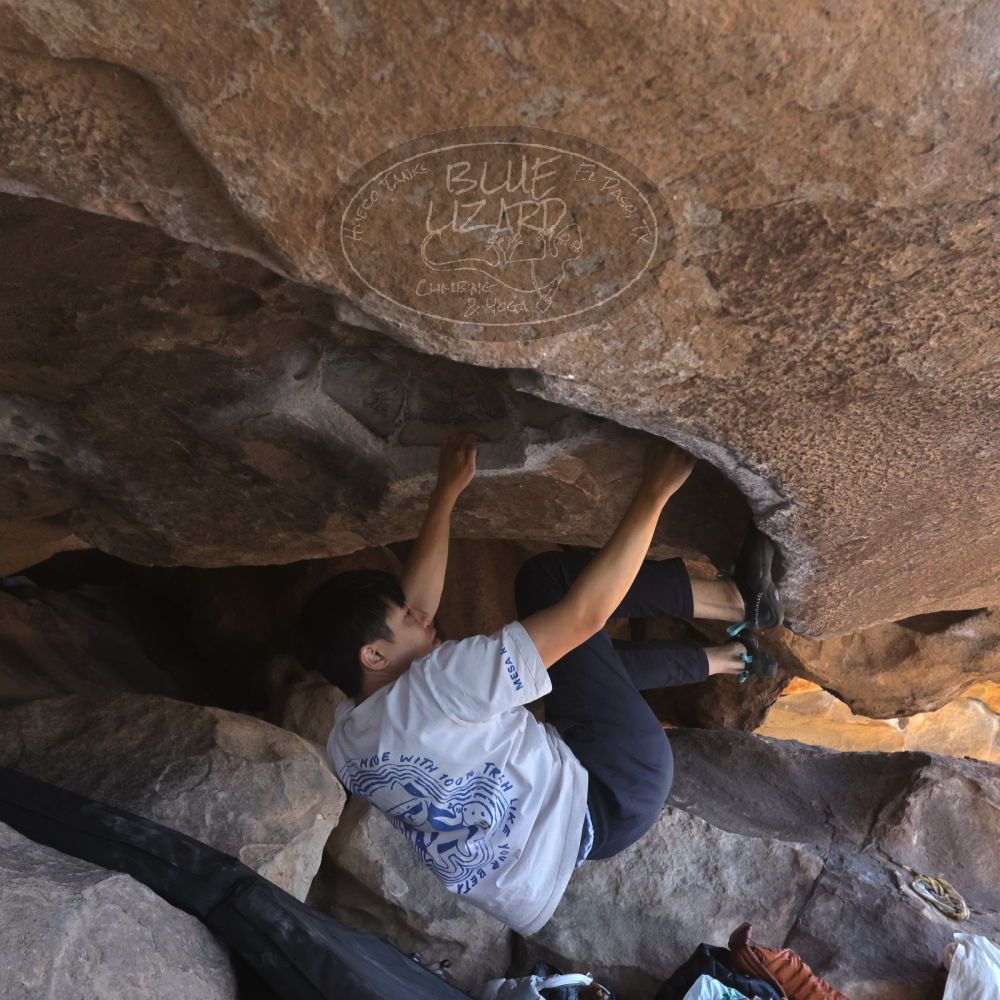 

Filename: SRM_20260328_1214181.jpg
Aperture: f/8.0
Shutter Speed: 1/1000
Body: Canon EOS R6
Lens: Canon EF 16-35mm f/2.8 L