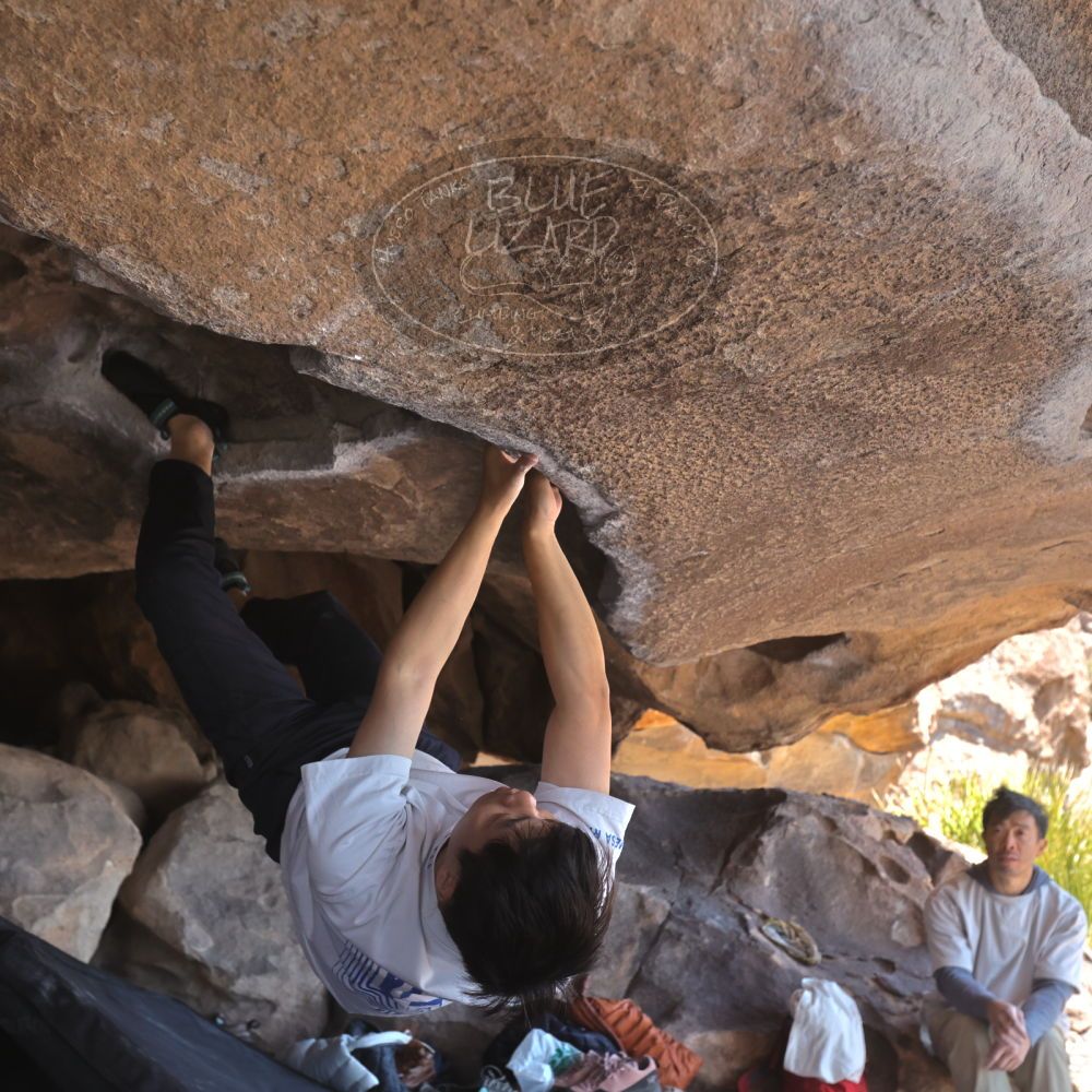 

Filename: SRM_20260328_1214270.jpg
Aperture: f/5.6
Shutter Speed: 1/640
Body: Canon EOS R6
Lens: Canon EF 16-35mm f/2.8 L