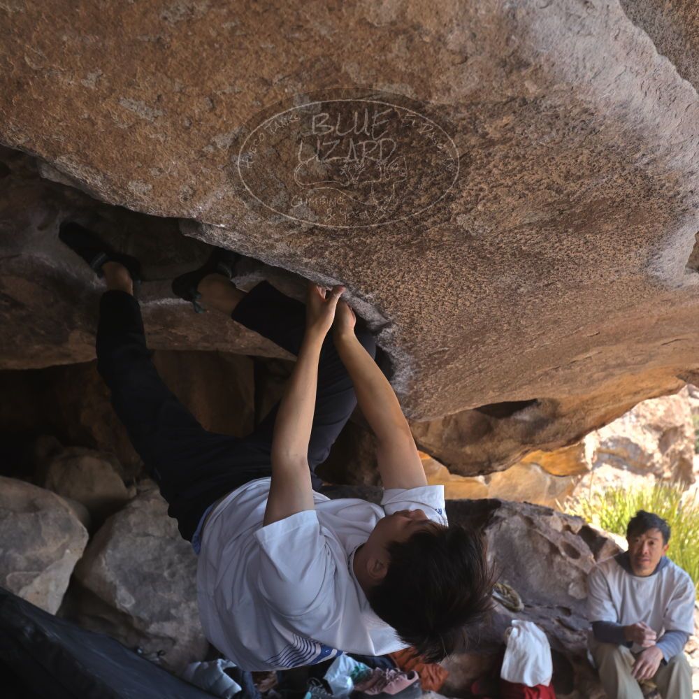 

Filename: SRM_20260328_1214290.jpg
Aperture: f/5.6
Shutter Speed: 1/640
Body: Canon EOS R6
Lens: Canon EF 16-35mm f/2.8 L