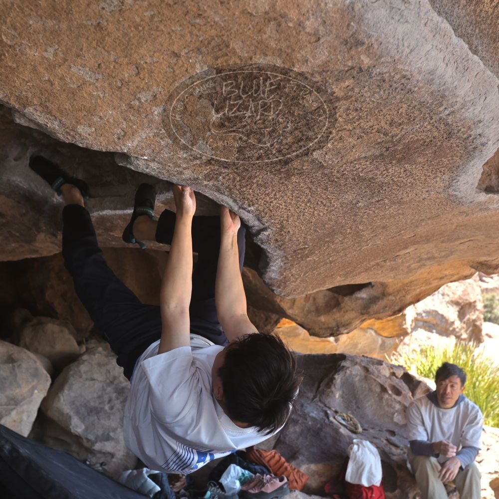 

Filename: SRM_20260328_1214330.jpg
Aperture: f/5.6
Shutter Speed: 1/640
Body: Canon EOS R6
Lens: Canon EF 16-35mm f/2.8 L