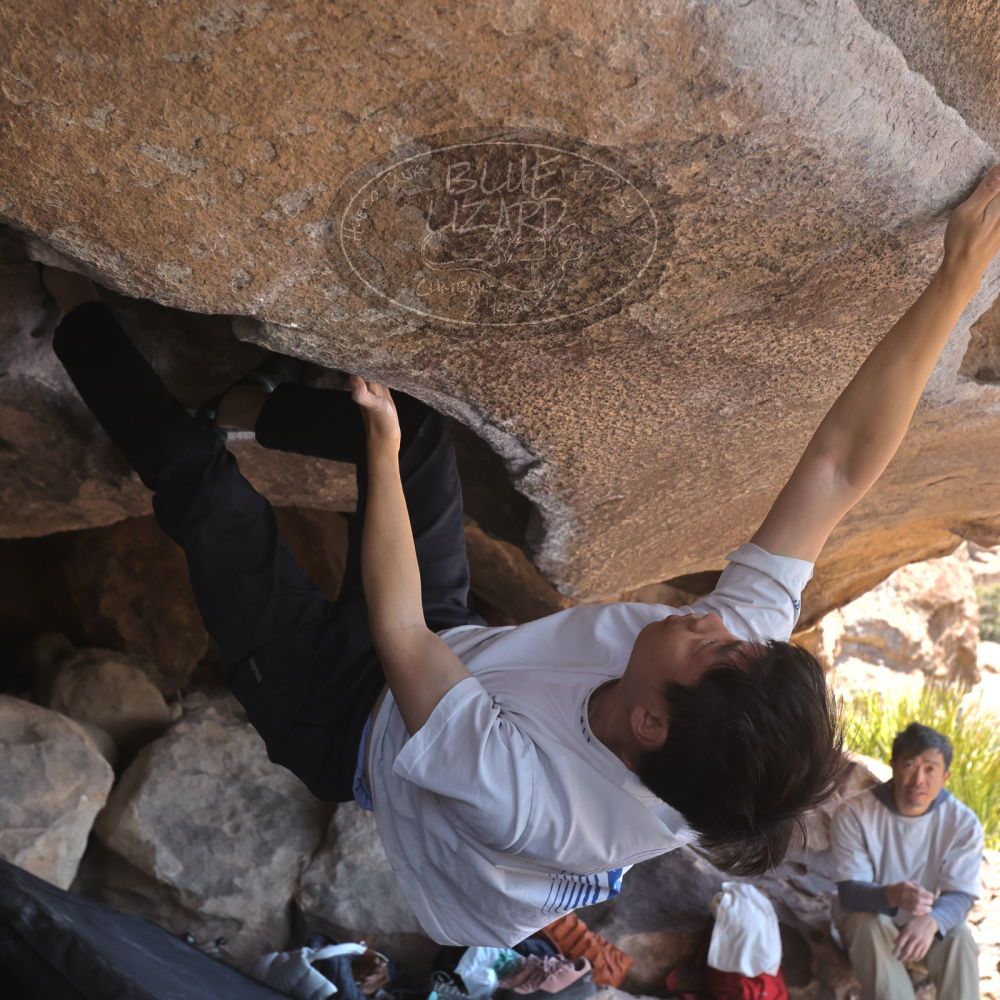 

Filename: SRM_20260328_1214370.jpg
Aperture: f/5.6
Shutter Speed: 1/640
Body: Canon EOS R6
Lens: Canon EF 16-35mm f/2.8 L