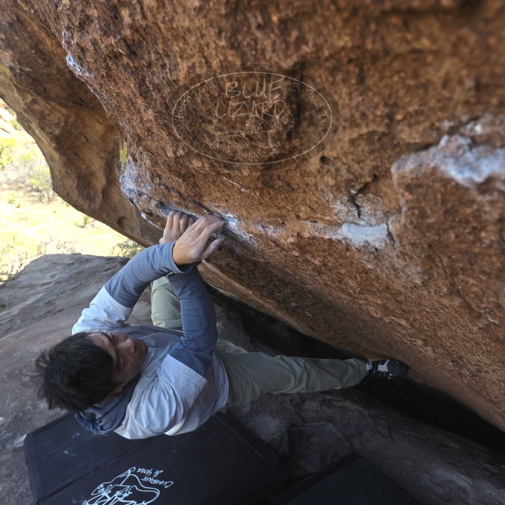 

Filename: SRM_20260328_1353420.jpg
Aperture: f/5.6
Shutter Speed: 1/640
Body: Canon EOS R6
Lens: Canon EF 16-35mm f/2.8 L