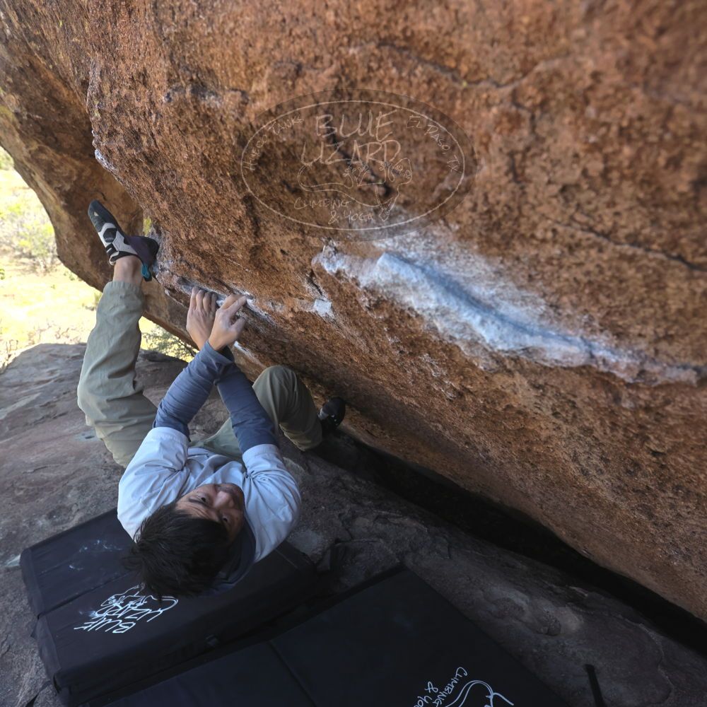 

Filename: SRM_20260328_1353550.jpg
Aperture: f/5.6
Shutter Speed: 1/640
Body: Canon EOS R6
Lens: Canon EF 16-35mm f/2.8 L