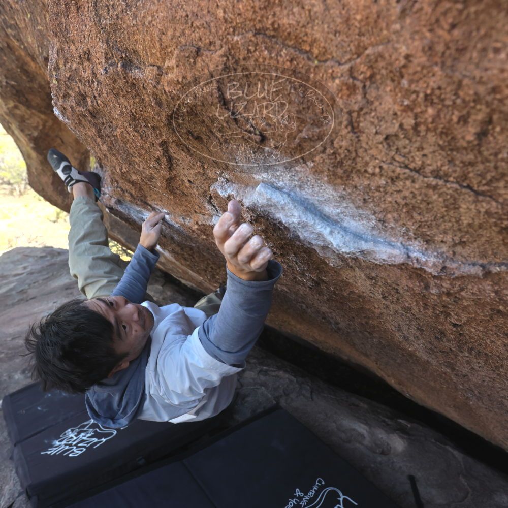 

Filename: SRM_20260328_1353551.jpg
Aperture: f/5.6
Shutter Speed: 1/640
Body: Canon EOS R6
Lens: Canon EF 16-35mm f/2.8 L