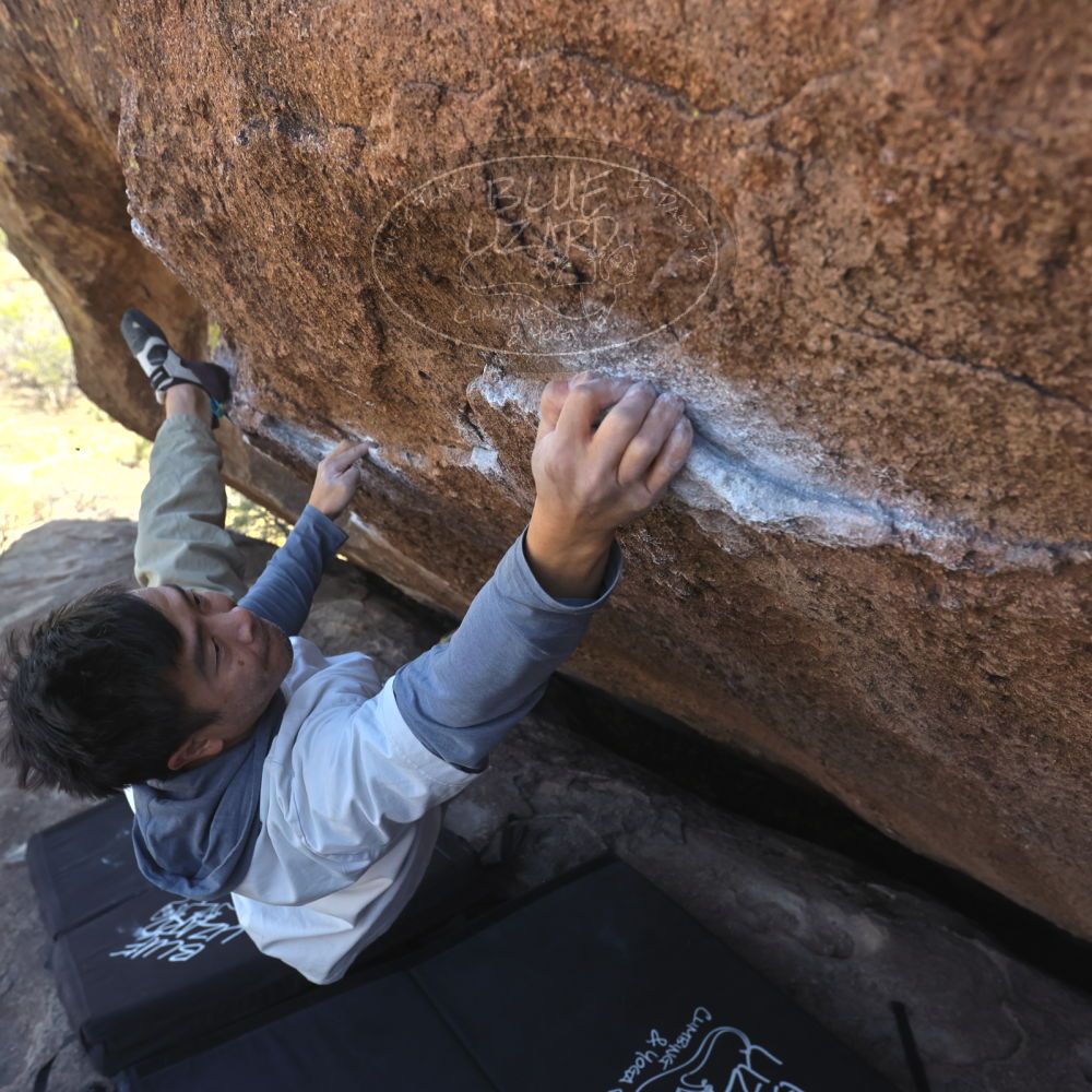 

Filename: SRM_20260328_1353553.jpg
Aperture: f/5.6
Shutter Speed: 1/640
Body: Canon EOS R6
Lens: Canon EF 16-35mm f/2.8 L