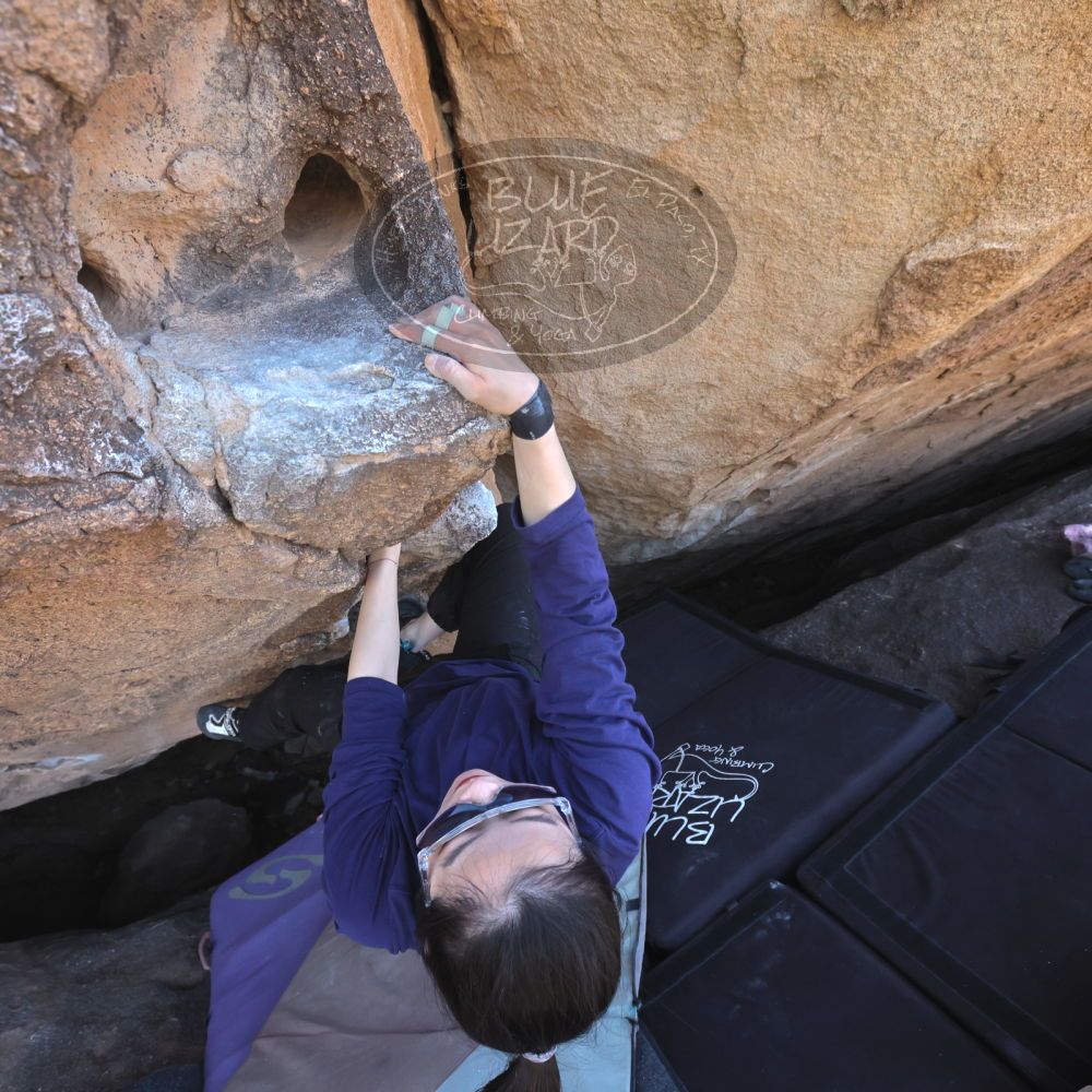 

Filename: SRM_20260328_1407080.jpg
Aperture: f/5.6
Shutter Speed: 1/640
Body: Canon EOS R6
Lens: Canon EF 16-35mm f/2.8 L