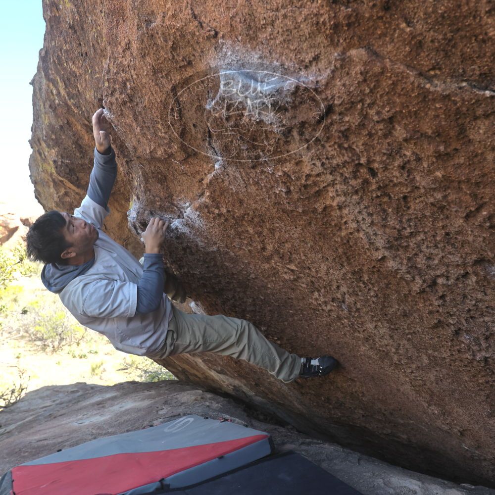 

Filename: SRM_20260328_1412560.jpg
Aperture: f/5.6
Shutter Speed: 1/640
Body: Canon EOS R6
Lens: Canon EF 16-35mm f/2.8 L