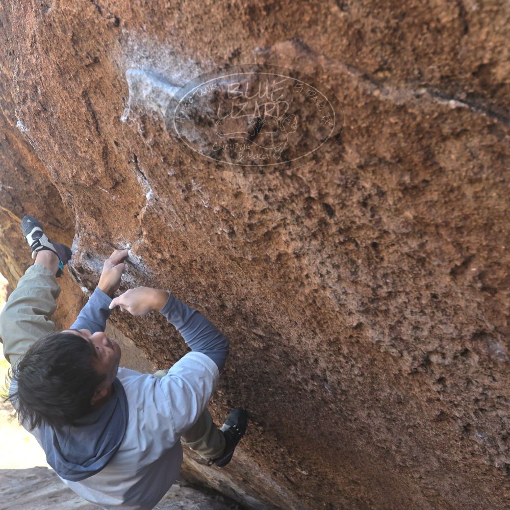 

Filename: SRM_20260328_1413110.jpg
Aperture: f/5.6
Shutter Speed: 1/640
Body: Canon EOS R6
Lens: Canon EF 16-35mm f/2.8 L