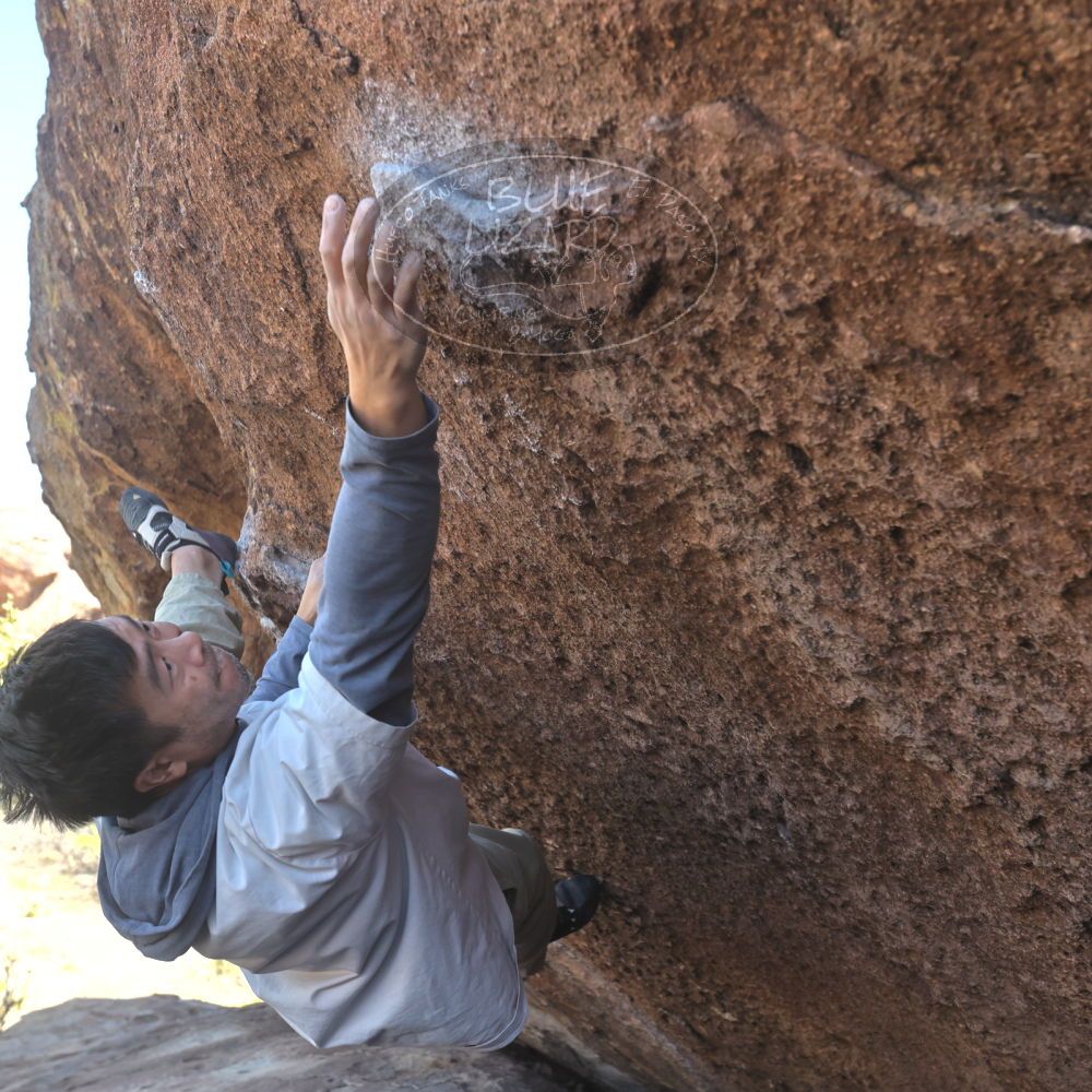 

Filename: SRM_20260328_1413111.jpg
Aperture: f/5.6
Shutter Speed: 1/640
Body: Canon EOS R6
Lens: Canon EF 16-35mm f/2.8 L