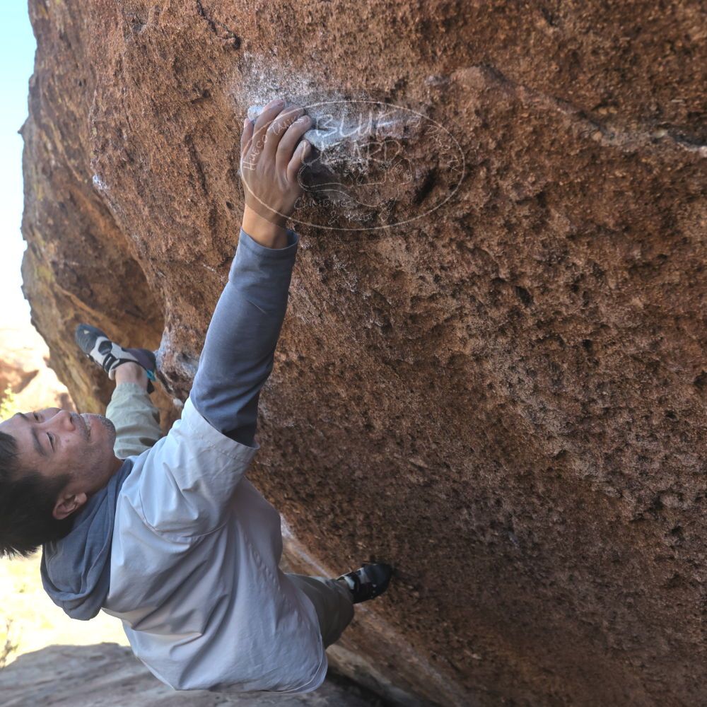 

Filename: SRM_20260328_1413112.jpg
Aperture: f/5.6
Shutter Speed: 1/640
Body: Canon EOS R6
Lens: Canon EF 16-35mm f/2.8 L