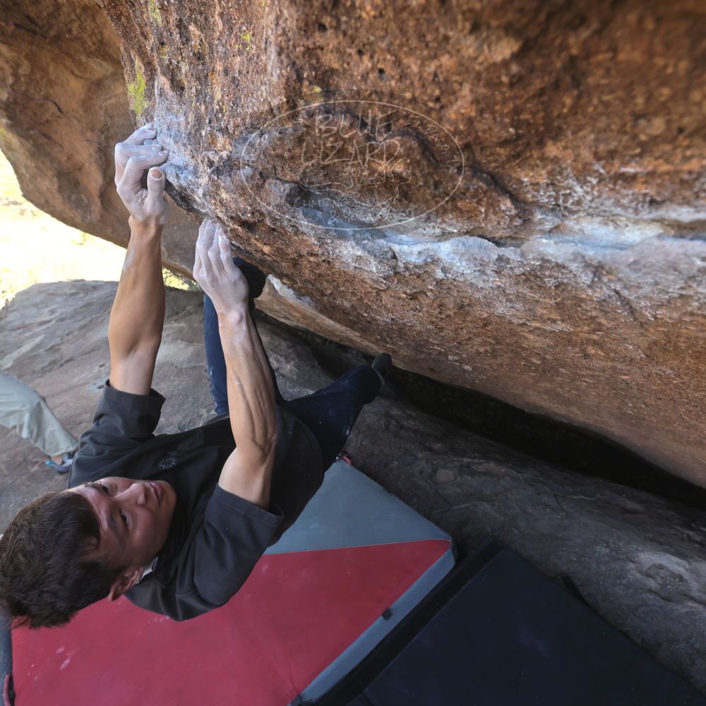 

Filename: SRM_20260328_1416370.jpg
Aperture: f/5.6
Shutter Speed: 1/640
Body: Canon EOS R6
Lens: Canon EF 16-35mm f/2.8 L