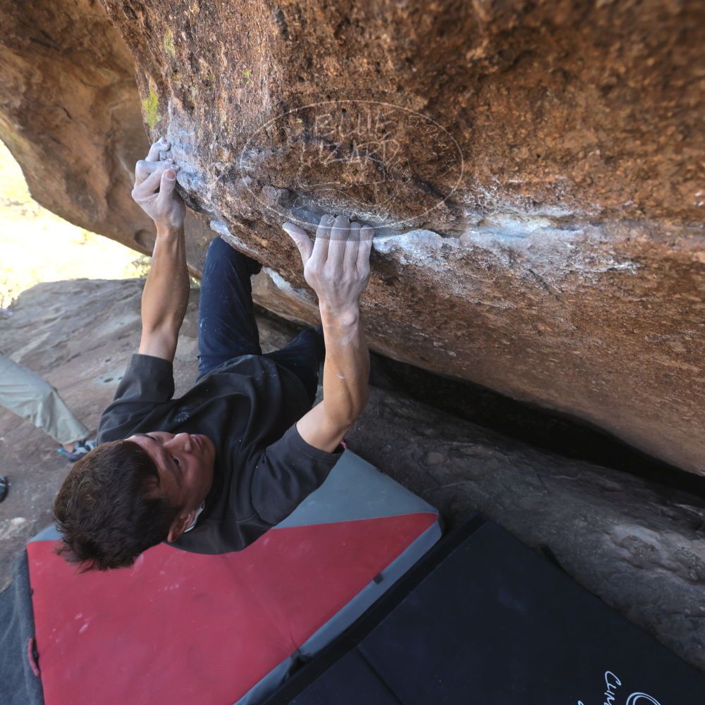 

Filename: SRM_20260328_1416380.jpg
Aperture: f/5.6
Shutter Speed: 1/640
Body: Canon EOS R6
Lens: Canon EF 16-35mm f/2.8 L