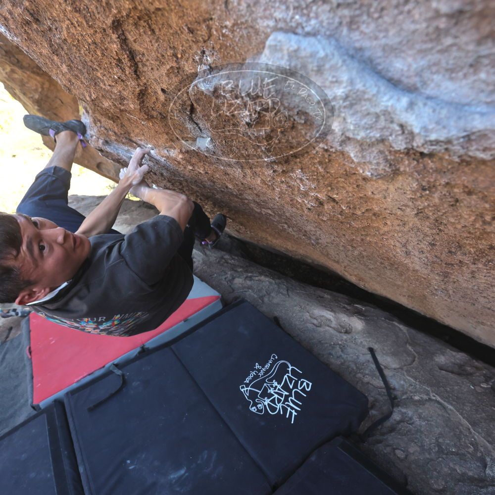 

Filename: SRM_20260328_1416540.jpg
Aperture: f/5.6
Shutter Speed: 1/640
Body: Canon EOS R6
Lens: Canon EF 16-35mm f/2.8 L