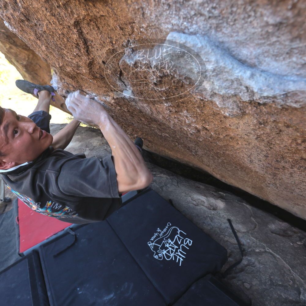 

Filename: SRM_20260328_1416541.jpg
Aperture: f/5.6
Shutter Speed: 1/640
Body: Canon EOS R6
Lens: Canon EF 16-35mm f/2.8 L